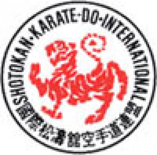 VARIOUS KARATE  STYLE BADGES  - Image 4