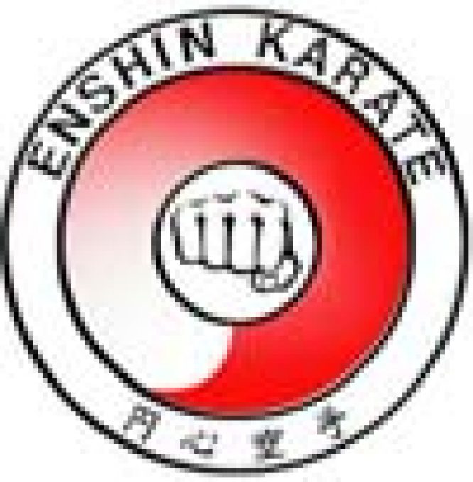 VARIOUS KARATE  STYLE BADGES  - Image 6