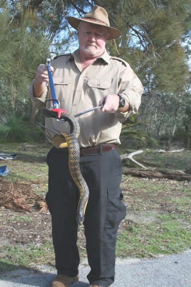 Snake Tong Professional Grab Stick 1 meter - Image 2