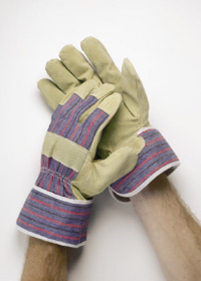 Safety Gloves  - Image 4