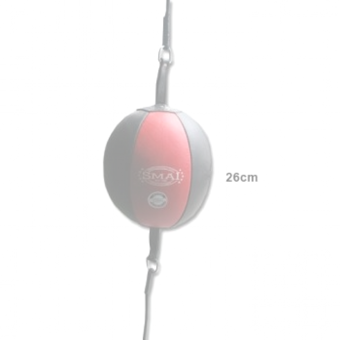 SMAI FLOOR TO CEILING BALL - Image 4