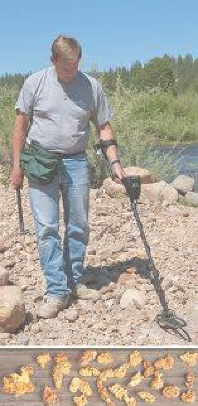 GARRETT AT PRO METAL DETECTOR - Image 5
