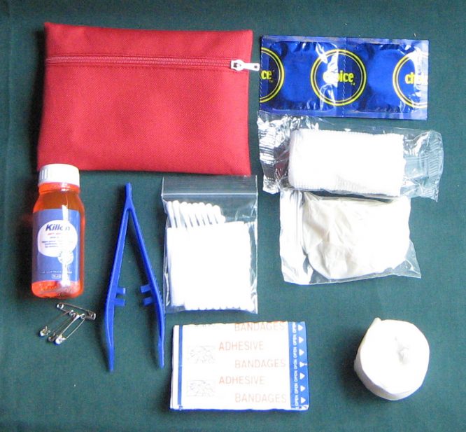 MINI FIRST AID KIT - Image 4