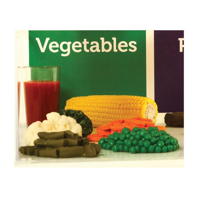 FOOD REPLICA / FAUX FOOD PACKAGES / MYPLATE EXAMPLES - Image 7