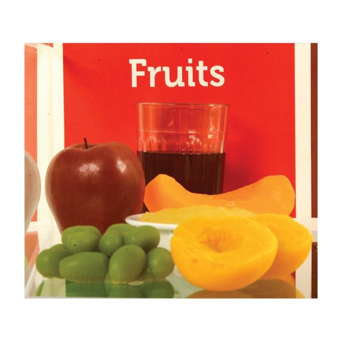 FOOD REPLICA / FAUX FOOD PACKAGES / MYPLATE EXAMPLES - Image 6