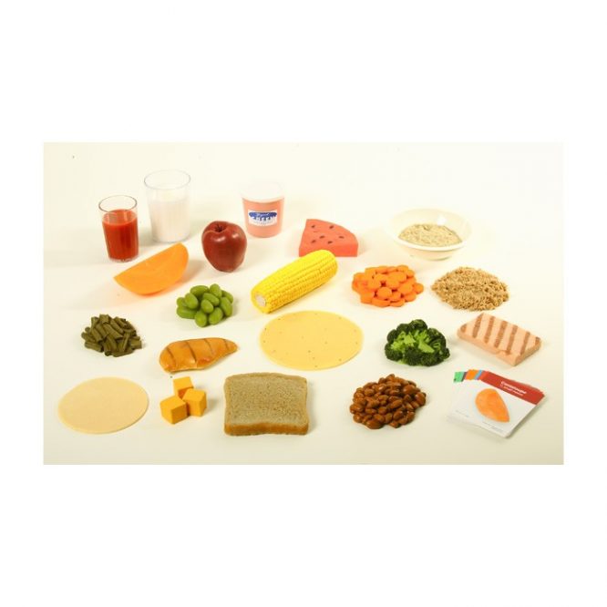 FOOD REPLICA / FAUX FOOD PACKAGES / MYPLATE EXAMPLES - Image 3