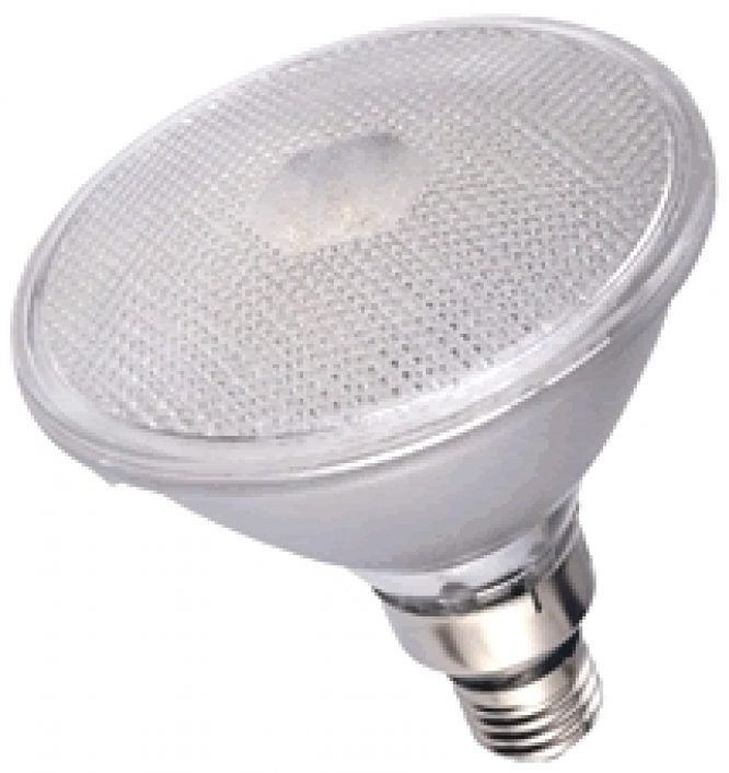 SECURITY LIGHT FOR PAR 38 FS32 - Image 2