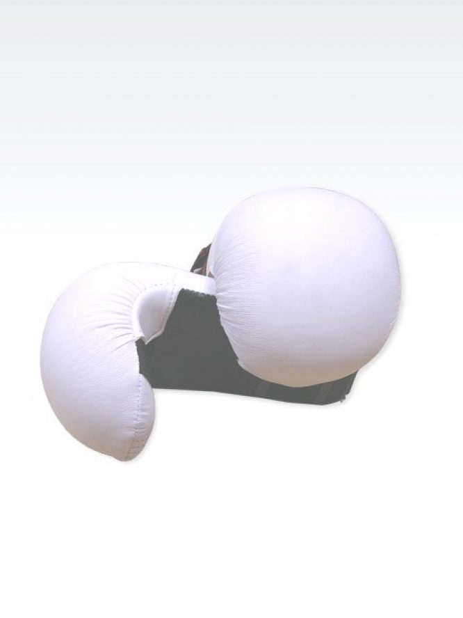KARATE MITTS 