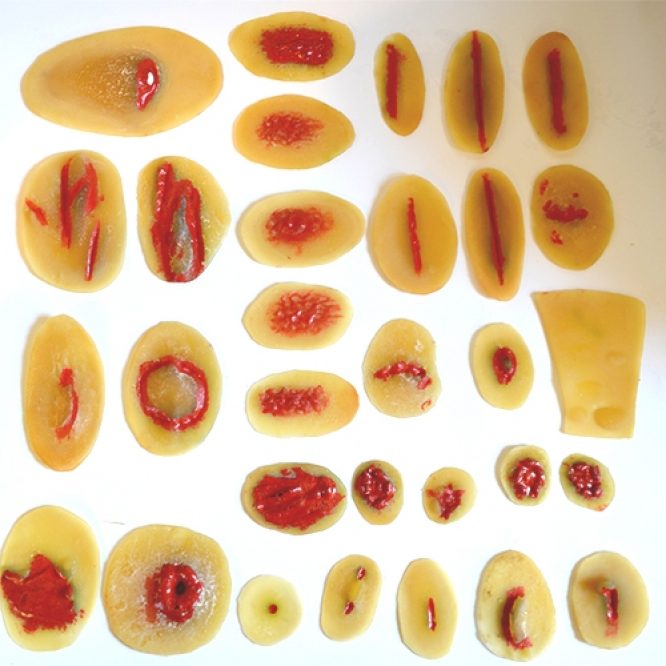 WOUND SIMULATION KIT - Image 2