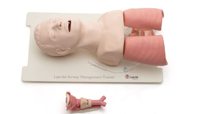 LAERDAL AIRWAY MANAGEMENT TRAINER