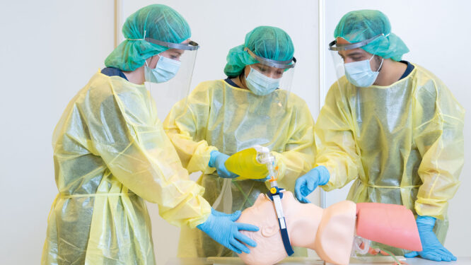 LAERDAL AIRWAY MANAGEMENT TRAINER - Image 3